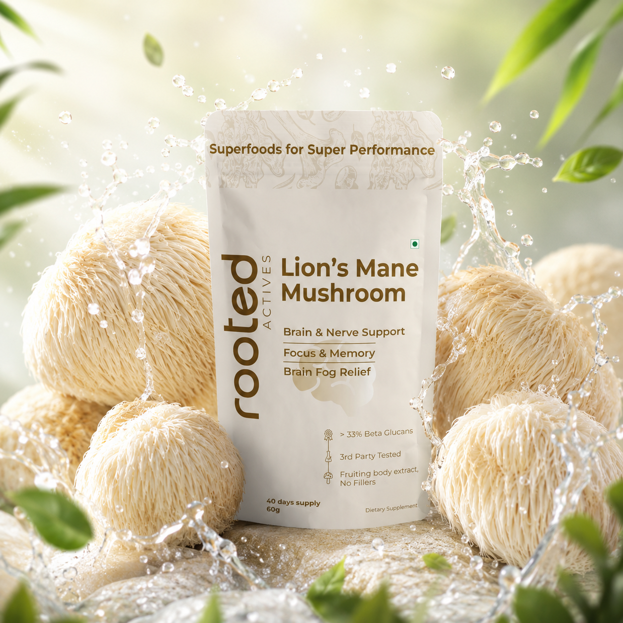 Lion's Mane Mushroom Extract Powder